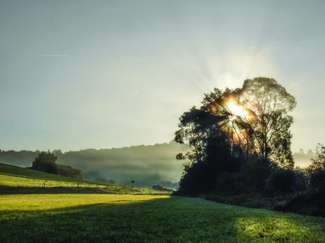Digital Photography – Photography Tips, Advice & Camera Reviews | Digital Photographer Magazine » Blog Archive » Edit backlit photos in Lightroom | Photography by products | Scoop.it