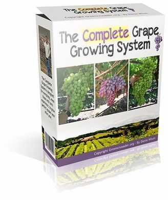 Complete Grape Growing System PDF Download Free | E-Books & Books (Pdf Free Download) | Scoop.it