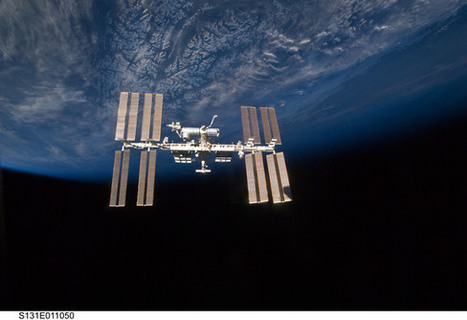 Sea Plankton on Space Station? Russian Official Claims It's So | No Such Thing As The News | Scoop.it