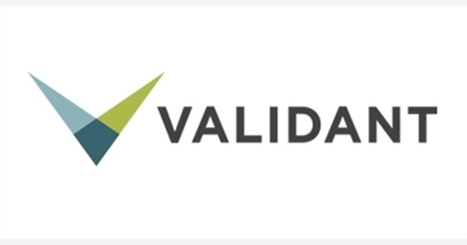 Senior Quality Assurance Consultant job with Validant | 1022099 | Lean Six Sigma Jobs | Scoop.it