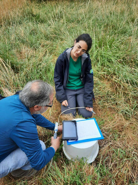 Des scientifiques prennent le pouls de la Réserve du Confluent - Toulousain - Lacroix-Falgarde | Lacroix-Falgarde | Scoop.it