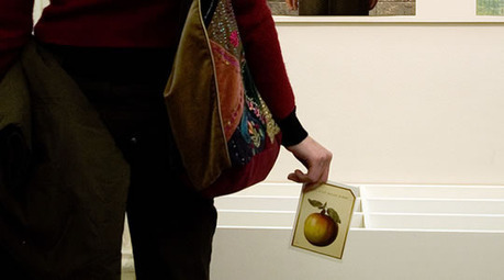 How the Mind Counteracts Offensive Ideas | Teaching Interpersonal Communication in a Business Communication Course | Scoop.it