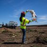 Industry 411 - Waste Management