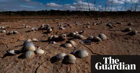 'Day zero' water crises: Spain, Morocco, India and Iraq at risk as reservoirs shrink | Environment | The Guardian | Stage 4 Water in the World | Scoop.it