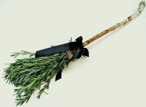 A broom of rosemary | Gardening Life | Scoop.it