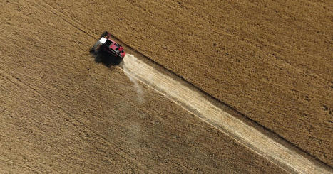 Le risque de crise alimentaire mondiale est-il derrière nous ? - France Culture | Agriculture et Alimentation Durable Méditerranéenne | Scoop.it