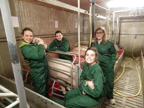 Quatre étudiantes font le portrait d'agricultrices de caractère - 20-03-2014 - REUSSIR PORC | SCIENCES DE L' ANIMAL | Scoop.it