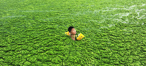 20 Unbelievable Photos Of Pollution In China | 16s3d: Bestioles, opinions & pétitions | Scoop.it