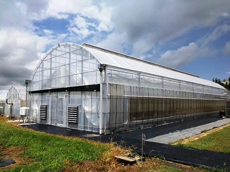 Shanghai agricultural enterprises to introduce unique technology abroad | ASIES | Scoop.it