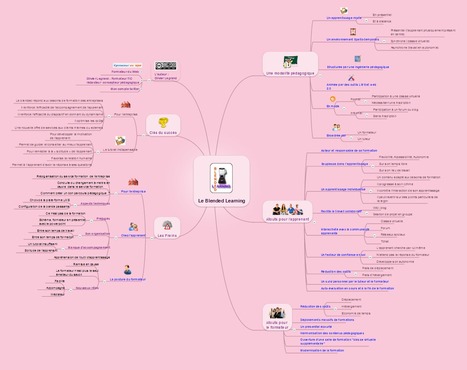 Le Blended Learning [MindMapping] | E-Learning-Inclusivo (Mashup) | Scoop.it