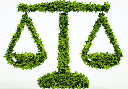 « L'environnement est maintenant reconnu comme une spécialité propre parmi les experts de justice » | EntomoScience | Scoop.it