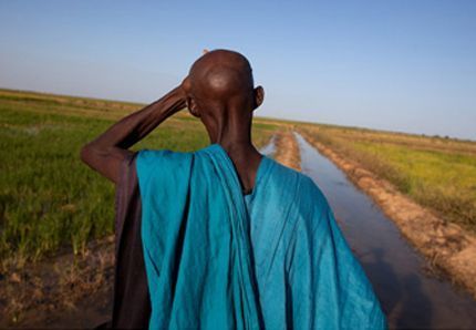 Les terres vendues à grande échelle ces dix dernières années pourraient nourrir un milliard de personnes | Oxfam International | Chronique des Droits de l'Homme | Scoop.it