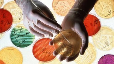 'Golden age' of antibiotics 'set to end' | Complex Insight  - Understanding our world | Scoop.it