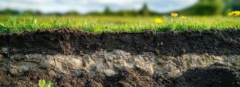 Les nanoCLICs sont-ils les véritables pilotes de la stabilisation du carbone dans le sol ? | INRAE | Pour innover en agriculture | Scoop.it
