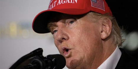 Trump is 'losing the whole ballgame' with judges after latest setback: CNN - RawStory.com | Backstabber Watch | Scoop.it