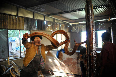 Watching the Nepali candy 'chaku' being made is utterly hypnotic | The Asian Food Gazette. | Scoop.it