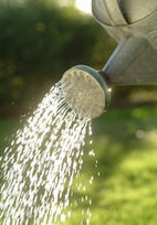 La r&eacute;cup&eacute;ration d&rsquo;eau de pluie pourrait co&ucirc;ter cher | Journal de l'environnement | Build Green, pour un habitat &eacute;cologique | Scoop.it