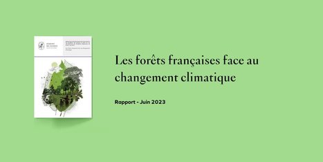 Forêt et changement climatique : menace sur le puits de carbone forestier français - Académie des sciences | Biodiversité | Scoop.it