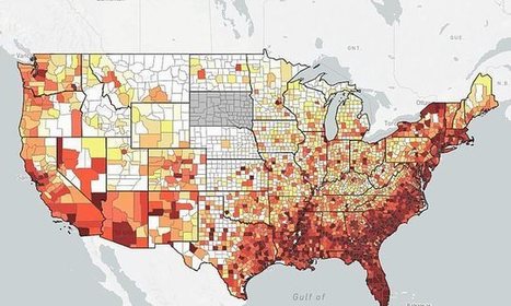 Most Americans have never been tested for HIV, CDC report reveals&nbsp; | Virus World | Scoop.it