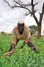 Le mot « paysan » : un frein à l’insertion des jeunes dans l’agriculture ! | Questions de développement ... | Scoop.it