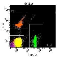 HYPERSCOOP: Most used and popular Flow Cytometry Analysis tools | Immunology Diagnosis | Scoop.it