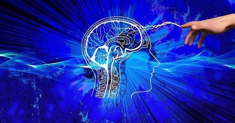 DISPARAR LA AMÍGDALA | Educación, TIC y ecología | Scoop.it