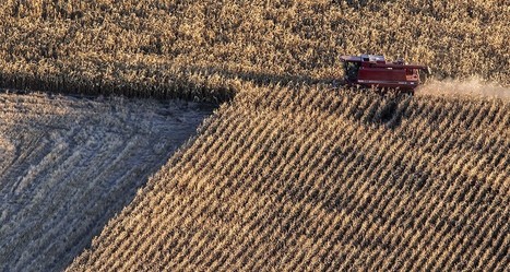 La France conserve la palme du syst&egrave;me alimentaire le plus durable au monde | Elevage et environnement | Scoop.it