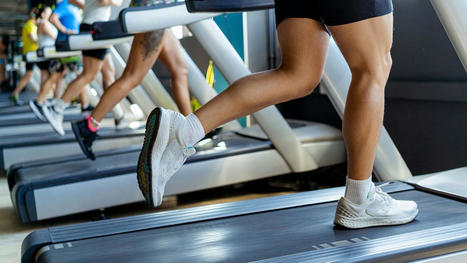 How to have a safe treadmill workout and avoid injury | Physical and Mental Health - Exercise, Fitness and Activity | Scoop.it