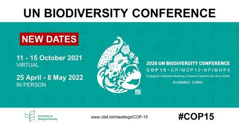 Le Conseil de l&rsquo;UE prend note du report probable d'au moins 1 mois de la deuxi&egrave;me partie de la COP15 | Vari&eacute;t&eacute;s entomologiques | Scoop.it
