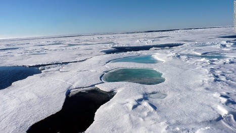 New chlamydia species discovered deep under the Arctic Ocean | Coastal Restoration | Scoop.it