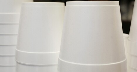 Single-use plastics: Lehigh Valley EAC Network hears presentation reduction strategies | Industry 411 - Waste Management | Scoop.it