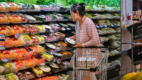 ALIMENTATION : Les exportations de cerises chiliennes au d&eacute;fi de l'exigence des consommateurs chinois | ALIMENTATIONS | Scoop.it