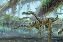 Triassic Period Facts: Climate, Animals & Plants | Dinosaur Habitats | Scoop.it