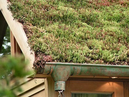 Les toitures végétalisées | Build Green, pour un habitat écologique | Scoop.it