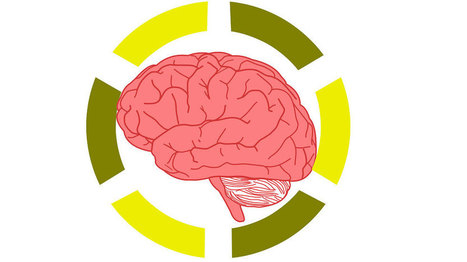 Neuroscience - Becoming a Hot Topic in the Education System | Linguistics & Language Neurology | Scoop.it