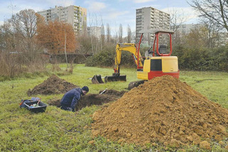 Collectivités locales : la santé des sols entre dans la planification urbaine | Veille territoriale AURH | Scoop.it