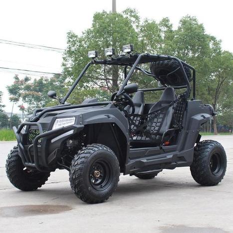 Buy 200cc Armored Go Kart Dune Buggy Two Seats