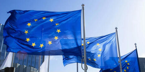 EU Lawmaker Pushes for Deeper Cuts to Corporate Sustainability Rules | Sustainable Procurement News | Scoop.it