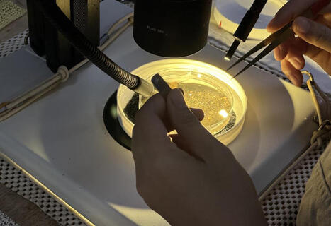 CLIMATE: The impacts of a deep-sea mining machine finds the abundance of animals at the site decreased by 37% | DURABILITES | Scoop.it