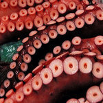 Fish Off Fukushima, Japan, Show Elevated Levels of Cesium | The Asian Food Gazette. | Scoop.it