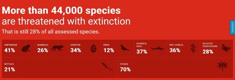 La liste rouge annuelle des espèces menacées dans le monde  compte désormais 157 190 espèces dont 44 016 menacées d’extinction à l’échelle mondiale, soit 1 908 de plus que l’année dernière | EntomoNews | Scoop.it