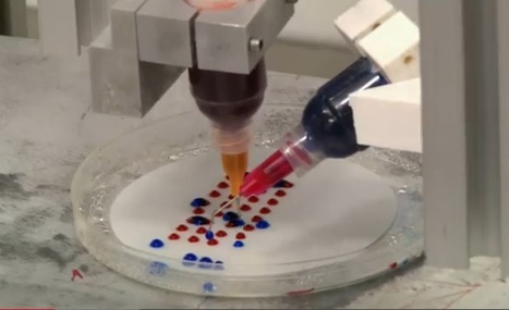 Researchers developing 3D printer, 'bio-ink' to create human organs (video) | Remembering tomorrow | Scoop.it