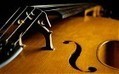 Mad cow disease fears over violin strings threatens works of Handel and Bach  - Telegraph | Science News | Scoop.it