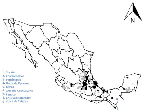 Identificadas las claves para la supervivencia de los insectos | Bichos en Clase | Scoop.it