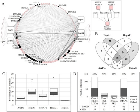 PLOS Biol: Integrative network-centric approach reveals signaling pathways associated with plant resistance and susceptibility to Pseudomonas syringae (2018) | Plants and Microbes | Scoop.it