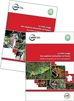 La Liste rouge des espèces menacées en France | Insect Archive | Scoop.it