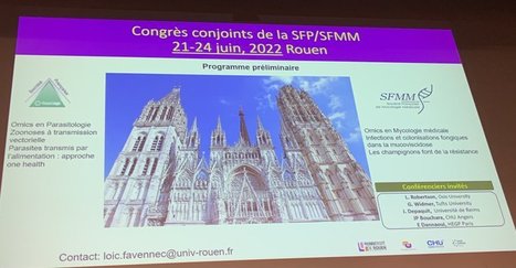 Le prochain congrès de la Société française de parasitologie aura lieu à Rouen en juin 2022 | Variétés entomologiques | Scoop.it