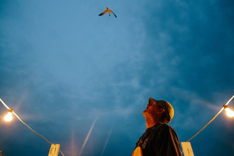 Treasured Island | Coastal Restoration | Scoop.it