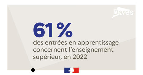 L'apprentissage en 2022 | Formation professionnelle : environnement et dispositifs | Scoop.it