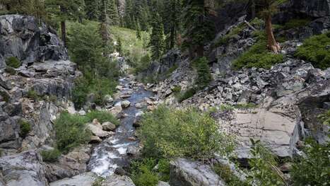 Cold water fish spotted upstream in Northern California for first time in 70 years: 'It's epic' | Industry 411 - Waste Management | Scoop.it